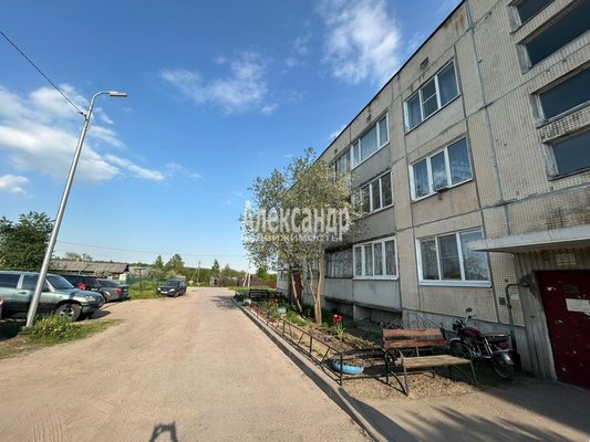 Продам многокомнатную квартиру, Ногирская ул, д. 33, Ромашки п