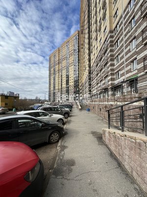 Продам двухкомнатную (2-комн.) квартиру, Михаила Дудина ул, д. 25 корп. 2, Парголово п