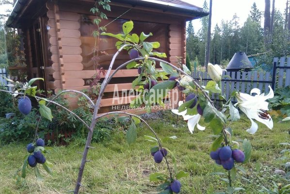 Продам двухкомнатную (2-комн.) квартиру, Малиновского ул, д. 10, Лахденпохья г