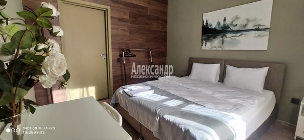 Продам коммерческое помещение 227,4 м2, Вознесенский пр-кт, д. 41, Санкт-Петербург г