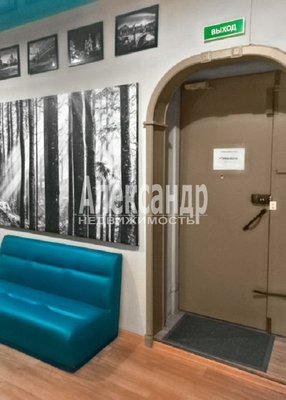 Продам коммерческое помещение 227,4 м2, Вознесенский пр-кт, д. 41, Санкт-Петербург г