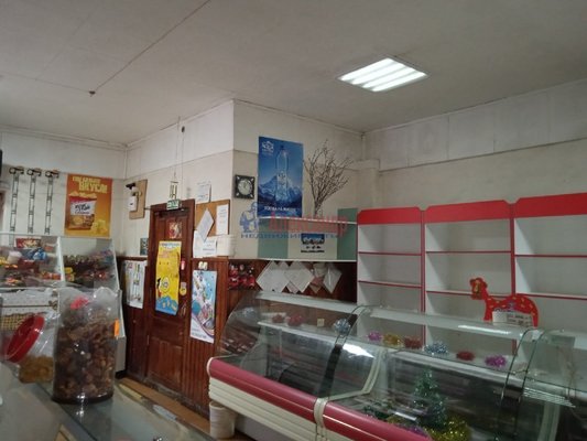 Продам коммерческое помещение 460 м2, Центральная ул, д. 18А, Ихала п