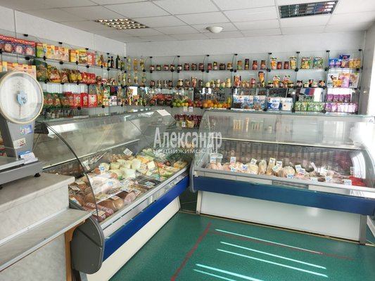 Продам коммерческое помещение 100 м2, Железнодорожный пер, 13, Громово п. ж/д ст.