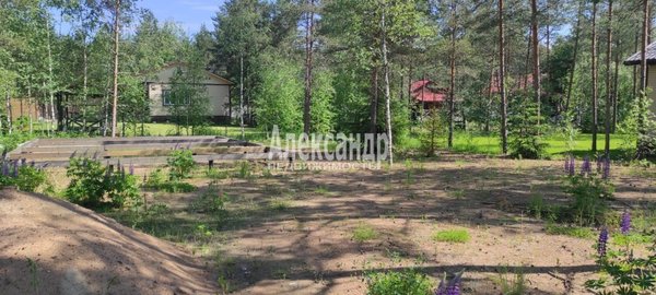 Продам участок 6,05 соток, Садоводство, 8 (Электрон снт) аллея, Массив Крутая Гора дп, 60 км от города