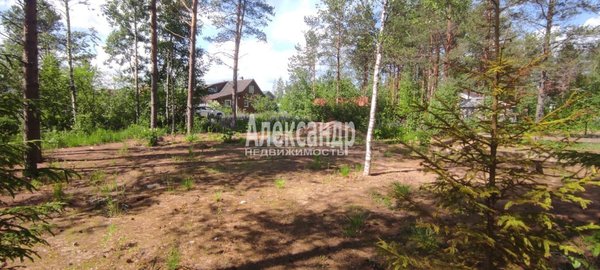 Продам участок 6,05 соток, Садоводство, 8 (Электрон снт) аллея, Массив Крутая Гора дп, 60 км от города