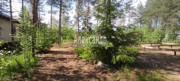 Продам участок 6,05 соток, Садоводство, 8 (Электрон снт) аллея, Массив Крутая Гора дп, 60 км от города