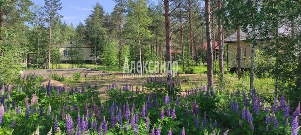 Продам участок 6,05 соток, Садоводство, 8 (Электрон снт) аллея, Массив Крутая Гора дп, 60 км от города
