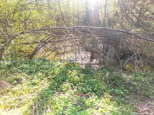 Продам участок 11 соток, ИЖС, Речная ул, Сосново п, 74 км от города