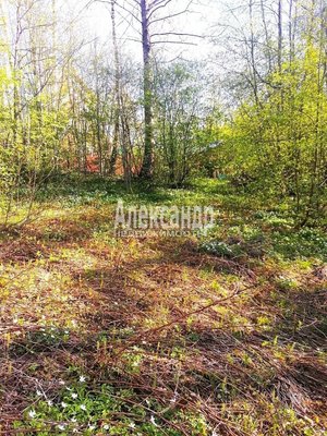 Продам участок 11 соток, ИЖС, Речная ул, Сосново п, 74 км от города