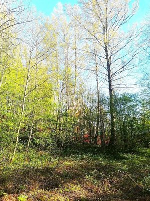 Продам участок 11 соток, ИЖС, Речная ул, Сосново п, 74 км от города