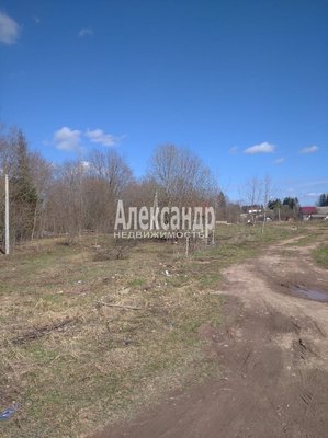 Продам участок 36 соток, ЛПХ, Надбелье д, 161 км от города