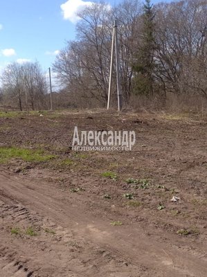 Продам участок 36 соток, ЛПХ, Надбелье д, 161 км от города