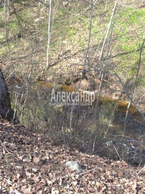 Продам участок 36 соток, ЛПХ, Надбелье д, 161 км от города