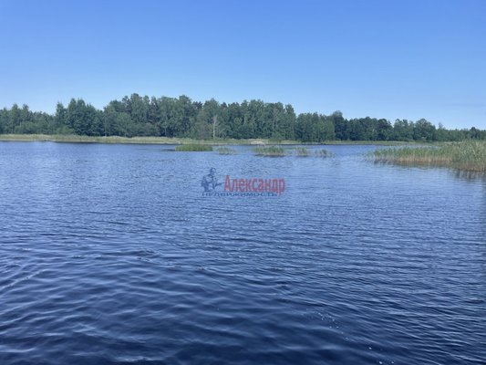 Продам участок 60 соток, ИЖС, Беличье п, 140 км от города