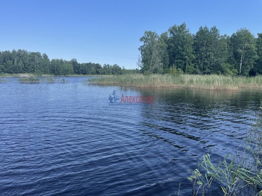Продам участок 60 соток, ИЖС, Беличье п, 140 км от города