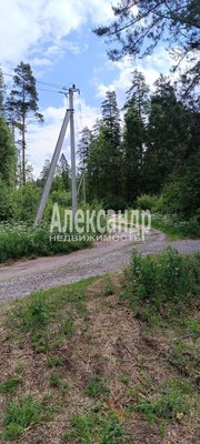 Продам участок 10 соток, Садоводство, СНТ Александринка тер, Массив Ремесленник дп, 134 км от города
