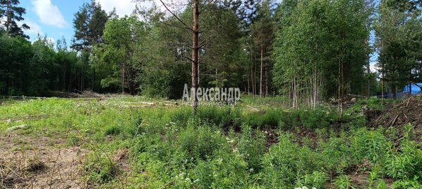 Продам участок 10 соток, Садоводство, СНТ Александринка тер, Массив Ремесленник дп, 134 км от города
