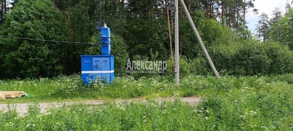 Продам участок 10 соток, Садоводство, СНТ Александринка тер, Массив Ремесленник дп, 134 км от города