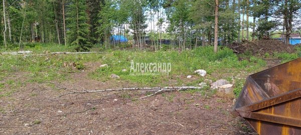 Продам участок 10 соток, Садоводство, СНТ Александринка тер, Массив Ремесленник дп, 134 км от города