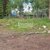 Продам участок 10 соток, Садоводство, СНТ Александринка тер, Массив Ремесленник дп, 134 км от города