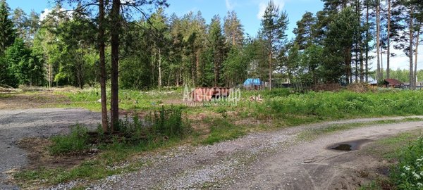 Продам участок 10 соток, Садоводство, СНТ Александринка тер, Массив Ремесленник дп, 134 км от города
