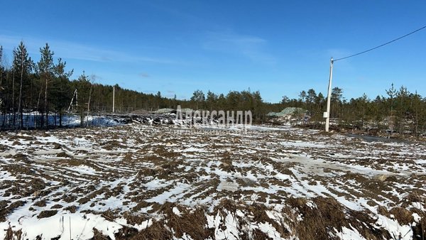 Продам участок 20 соток, Садоводство, Виктория тер. ДНП, д. 2, Капитолово массив, 28 км от города
