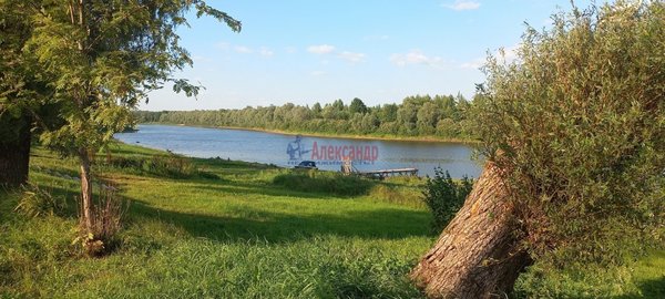 Продам дом в поселке Парфино, Медведково д, 274 км от города