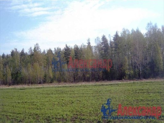 Продам участок 100 соток, ДНП, Гладкое-Рахья днп, Рахья массив, 40 км от города