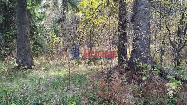 Продам участок 50 соток, ИЖС, Преображенского ул, 2, Всеволожск г, 22 км от города