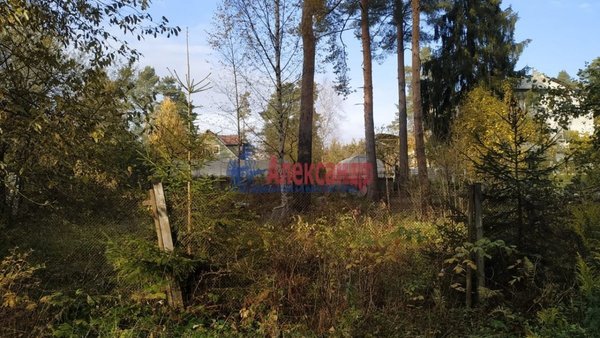 Продам участок 50 соток, ИЖС, Преображенского ул, 2, Всеволожск г, 22 км от города