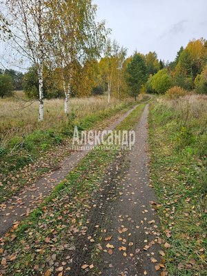 Продам участок 115 соток, Садоводство, Ниэмелянхови п, 270 км от города