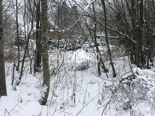 Продам участок 40 соток, ЛПХ, Кротово п, 126 км от города
