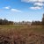 Продам участок 25 соток, ИЖС, Правобережная ул, Мысовое п, 116 км от города