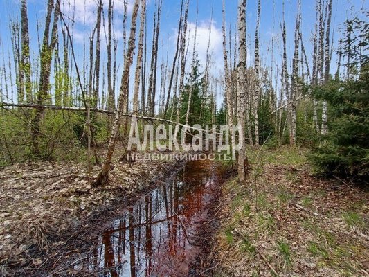 Продам участок 25 соток, ИЖС, Правобережная ул, Мысовое п, 116 км от города