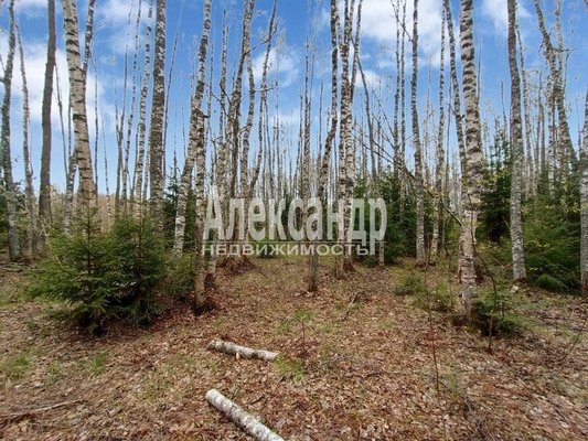 Продам участок 25 соток, ИЖС, Правобережная ул, Мысовое п, 116 км от города