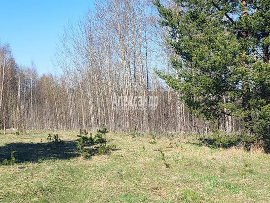 Продам участок 16,5 соток, ИЖС, Удальцово д, 77 км от города