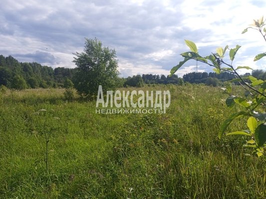 Продам участок 343 соток, ЛПХ, Пога д, 182 км от города