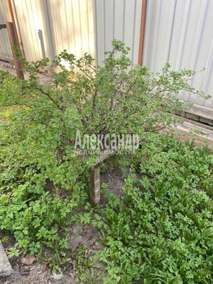 Продам дом, Карла Маркса ул, 3, Лахденпохья г, 200 км от города