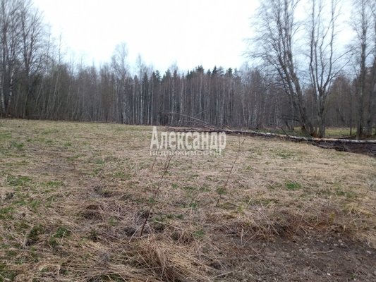 Продам участок 610 соток, Фермерское хоз., Торфяное п, 127 км от города
