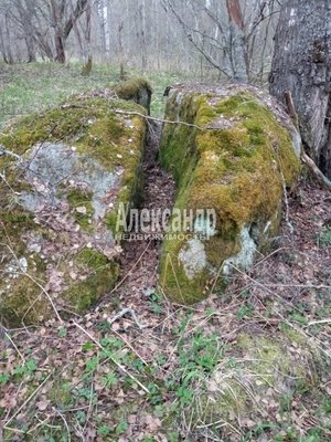Продам участок 610 соток, Фермерское хоз., Торфяное п, 127 км от города