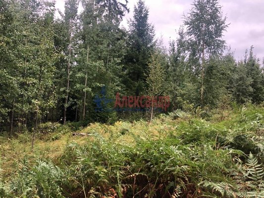 Продам участок 8 соток, Садоводство, Моторное п, 135 км от города