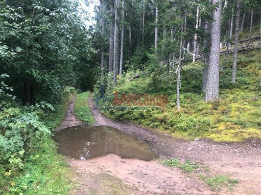 Продам участок 8 соток, Садоводство, Моторное п, 135 км от города