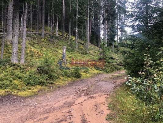 Продам участок 8 соток, Садоводство, Моторное п, 135 км от города