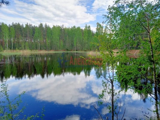 Продам участок 9 соток, ДНП, Бор д, 25 км от города