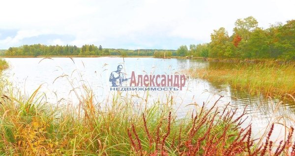 Продам дом, д. 10, Соколинское п, 141 км от города