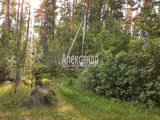 Продам участок 50 соток, ЛПХ, Славянская ул, Остров п, 178 км от города