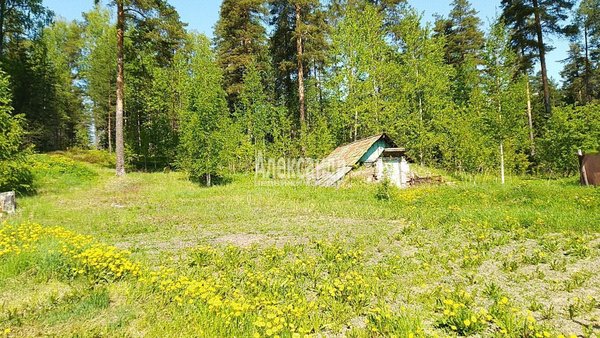 Продам часть дома, Лесная 1-я ул, д. 10, Пруды п, 163 км от города