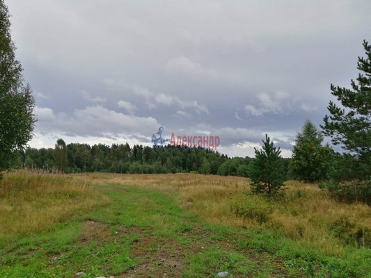Продам участок 340 соток, ЛПХ, Элисенваара п, 170 км от города