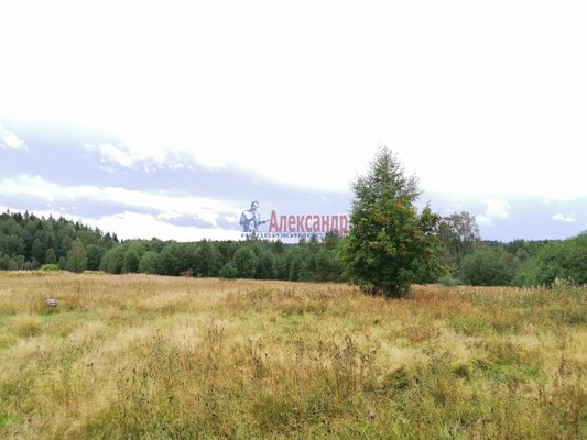 Продам участок 340 соток, ЛПХ, Элисенваара п, 170 км от города