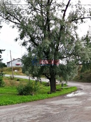 Продам участок 340 соток, ЛПХ, Элисенваара п, 170 км от города